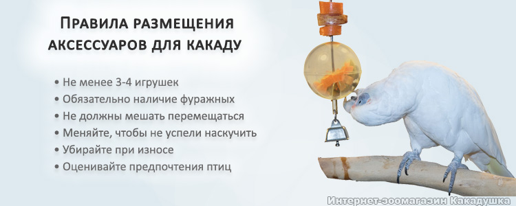 Расположение игрушек в клетке какаду