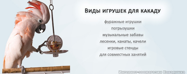 Виды игрушек для какаду