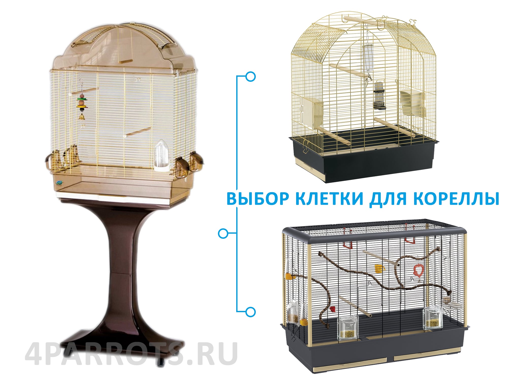 клетки для корелл