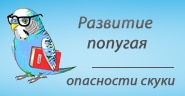 Развитие попугая