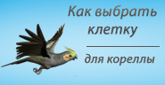 Клетки для корелл