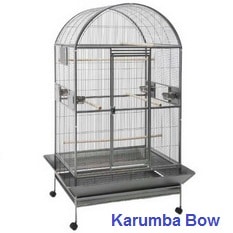 Savic Karumba Bow