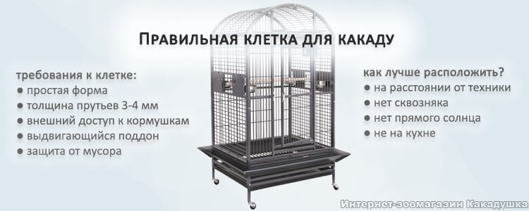 Правильная клетка для какаду