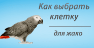 Клетки для жако