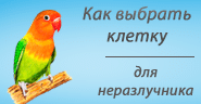 Клетки для неразлучников