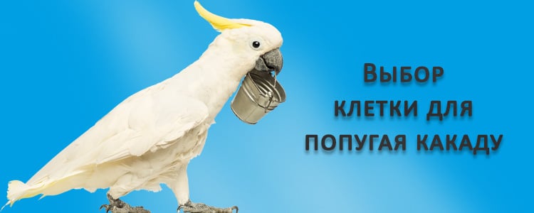 Выбор клетка для какаду