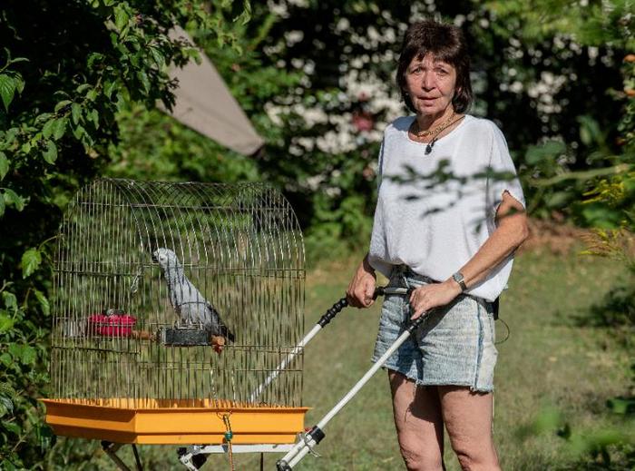 Уши Векс и жако Лиза в очередной поисковой кампании, пытаются найти любимого серого попугая Чикко