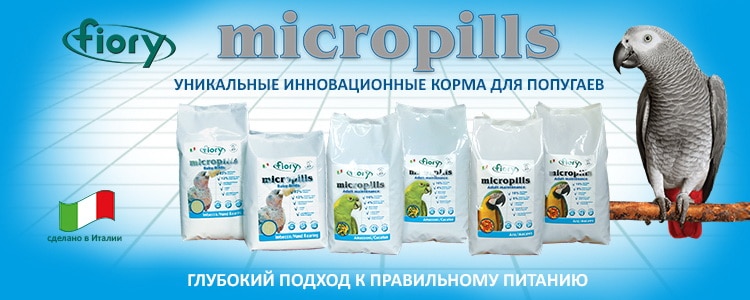 FIORY Micropills