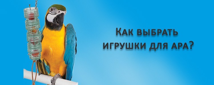 Как выбрать игрушки для попугая ара