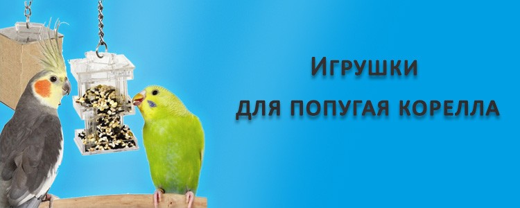 Обзор игрушек для кореллы