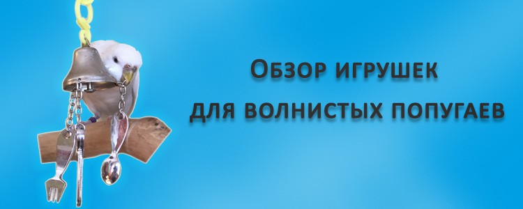 Обзор игрушек для волнистых попугаев